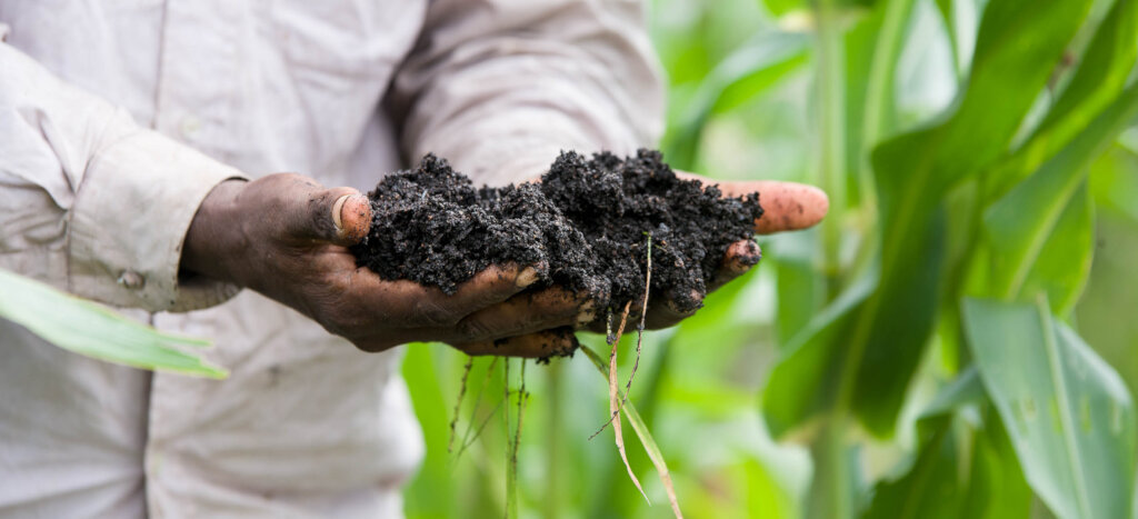 Promoting Organic Farming in Ghana