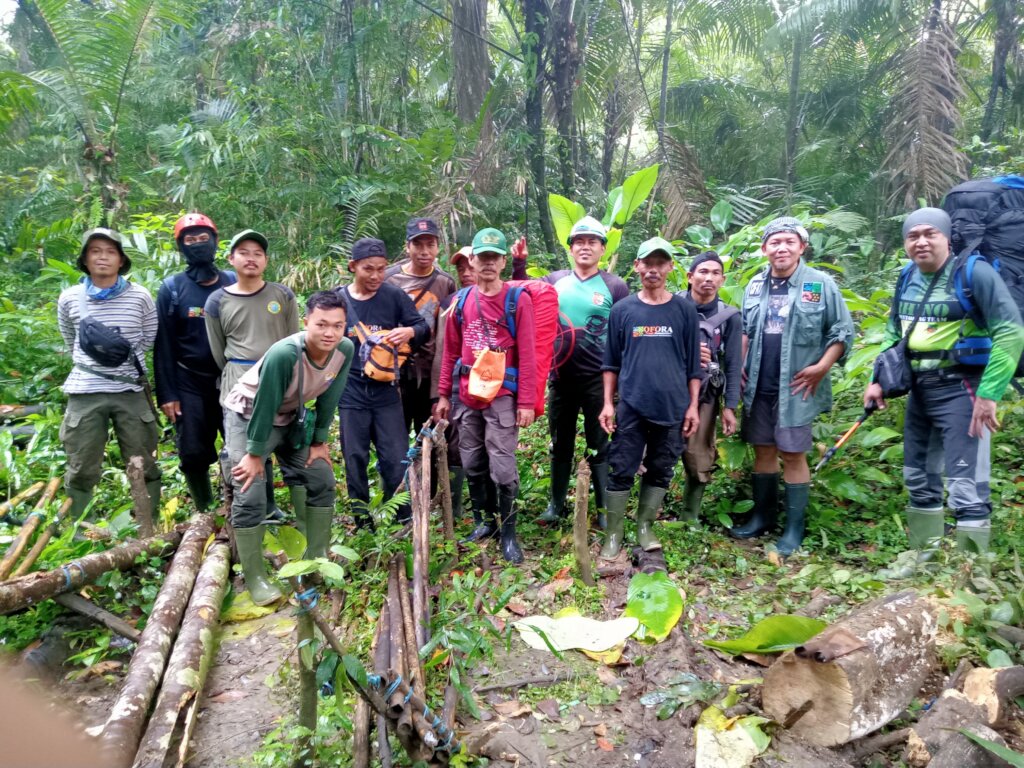 Help Save Javan Rhinos from Extinction