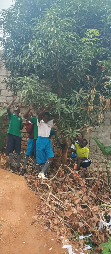 Importance of trees to school children
