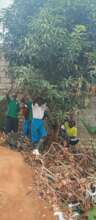 Importance of trees to school children