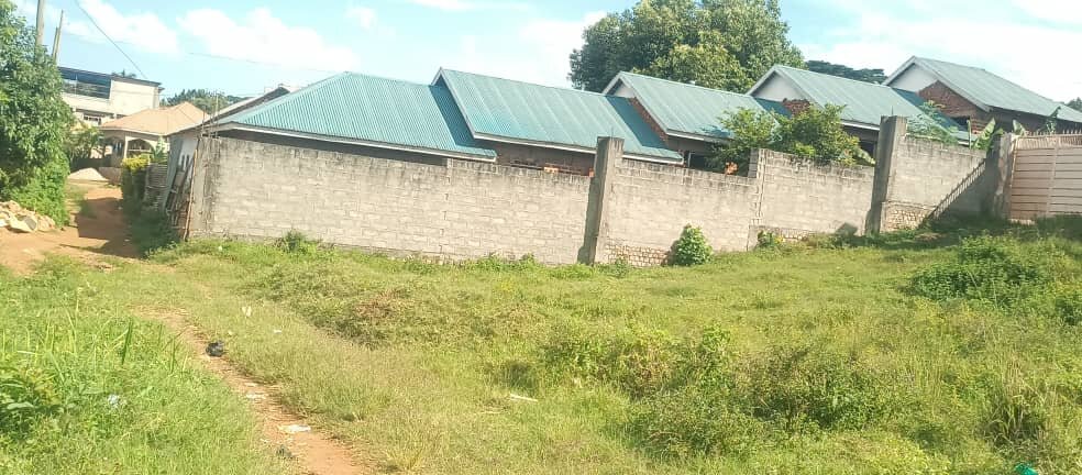 Fruit trees for 300 thriving children