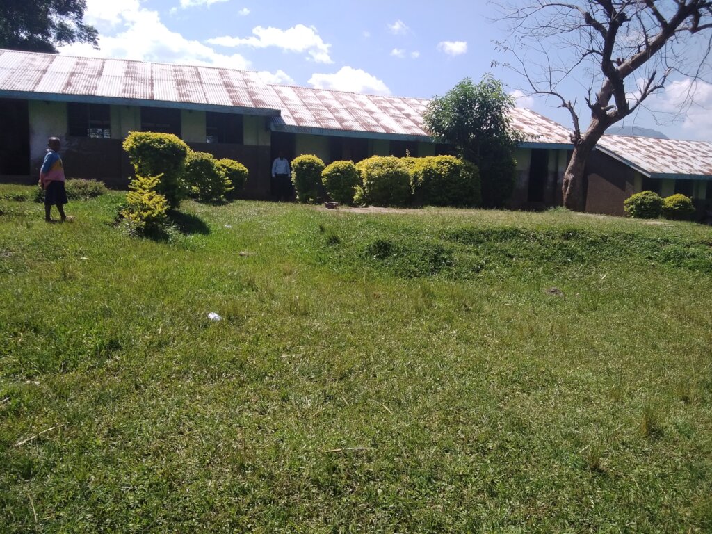 Fruit trees for 300 thriving children