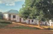 Fruit trees for 300 thriving children
