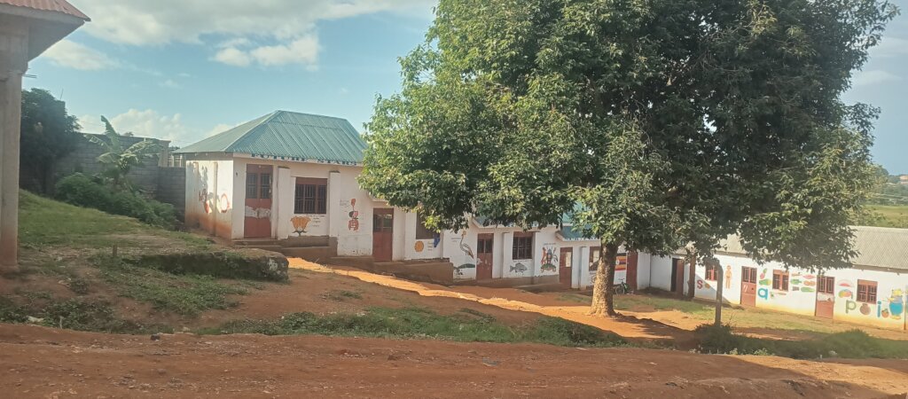 Fruit trees for 300 thriving children