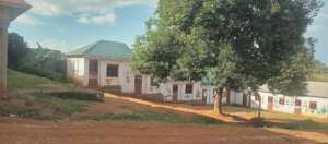 Fruit trees for 300 thriving children