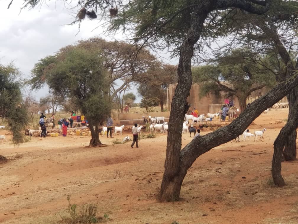 Provide clean water for 3000 Tanzanian villagers