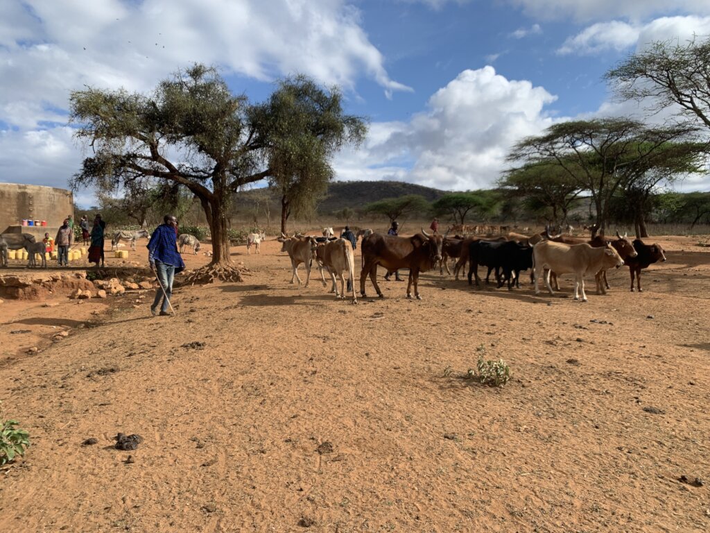 Provide clean water for 3000 Tanzanian villagers