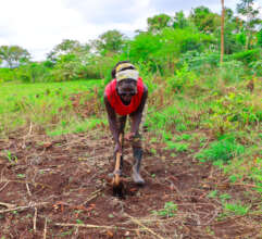 Build Time Smart Livelihoods -Women in Rural Kenya