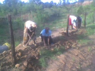 New fence around fish pond to protect it