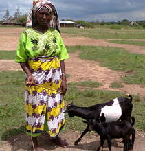 Beneficiary with her goats