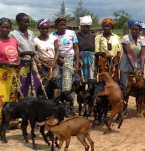 Community group with their goats