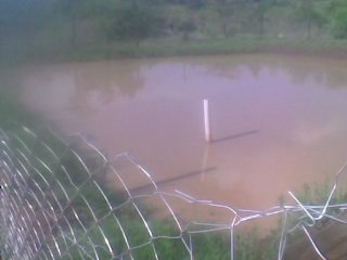 Finished fence around pond