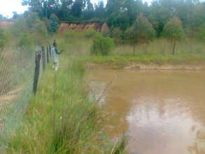 Fenced pond