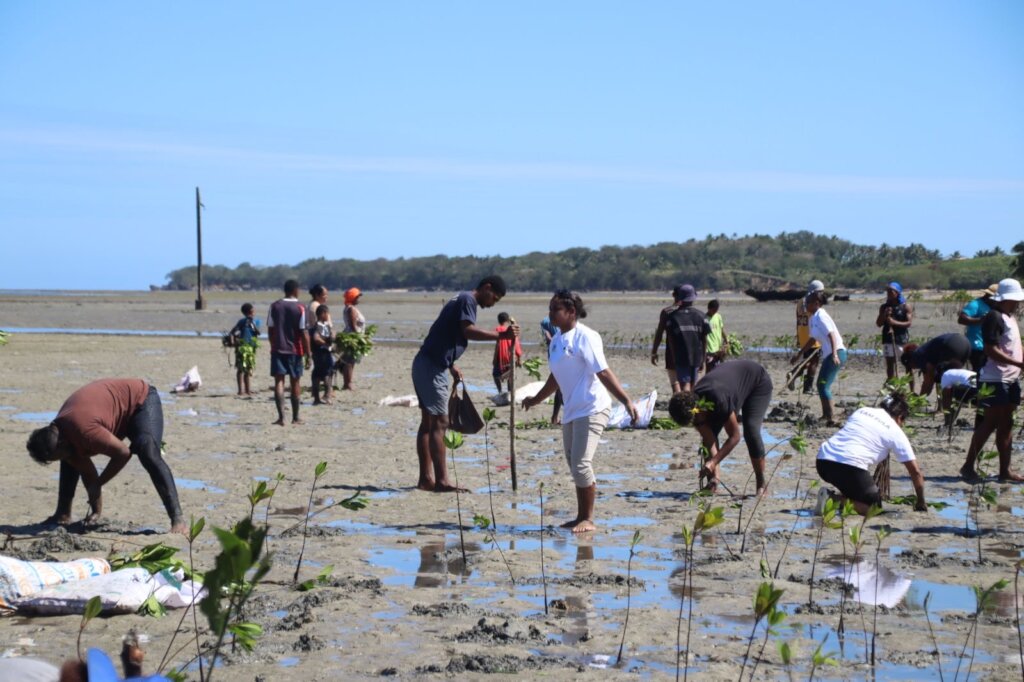 Mangrove Rehabilitation - Nadroga-Navosa, Fiji