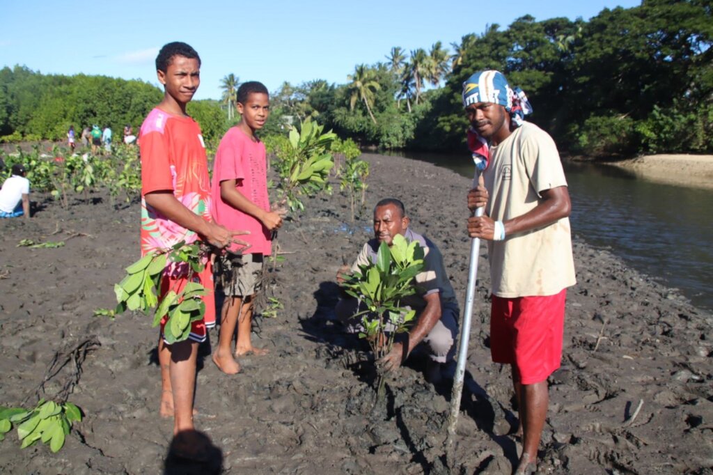 Mangrove Rehabilitation - Nadroga-Navosa, Fiji