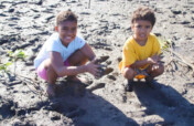 Mangrove Rehabilitation - Nadroga-Navosa, Fiji