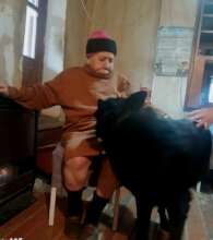 Elderly Woman Facing Winter Alone-With Only Her Do