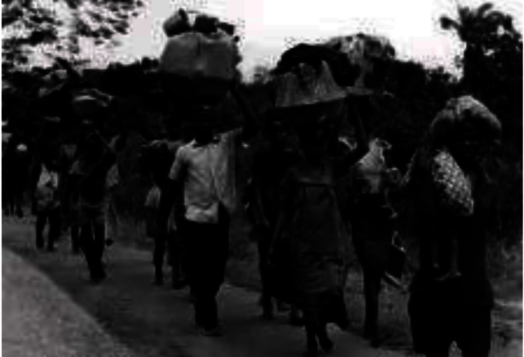 Help 10,000 Displaced Families Rebuild in Nigeria