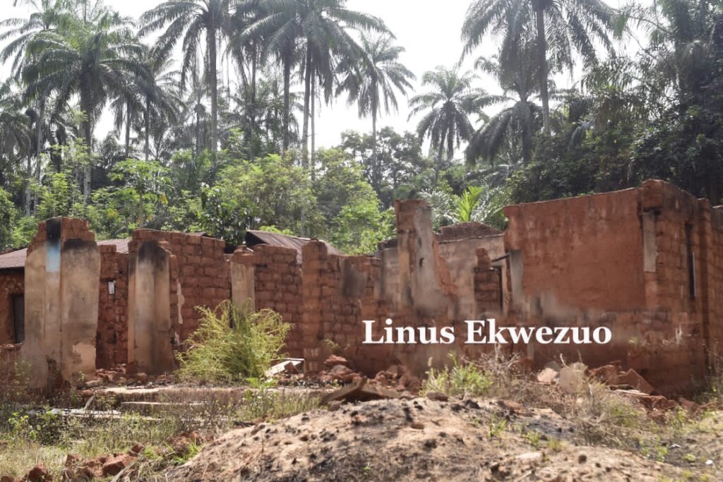 Help 10,000 Displaced Families Rebuild in Nigeria