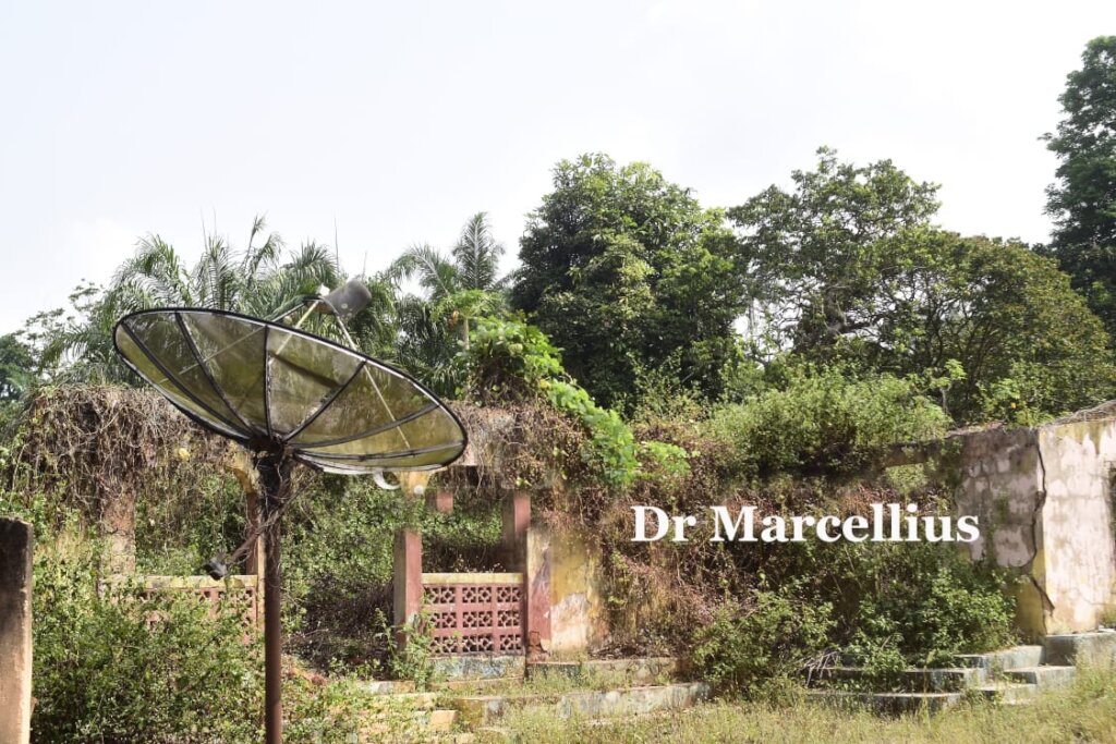 Help 10,000 Displaced Families Rebuild in Nigeria