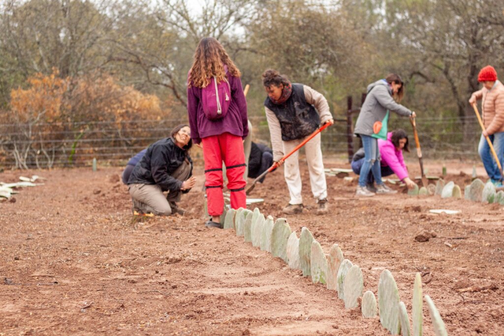 Cactus Harvests, Stronger Families in Piruaj Bajo