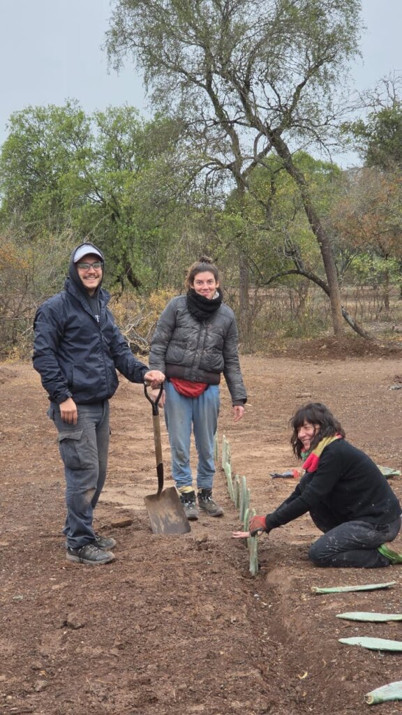 Cactus Harvests, Stronger Families in Piruaj Bajo