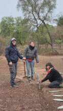 Cactus Harvests, Stronger Families in Piruaj Bajo
