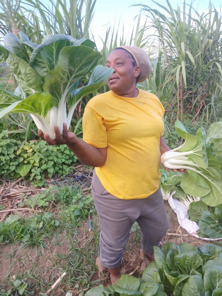 From Fear to Freedom - Stop Abuse after the Storm