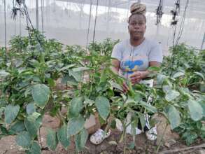 Image of Survivor working in our greenhouse