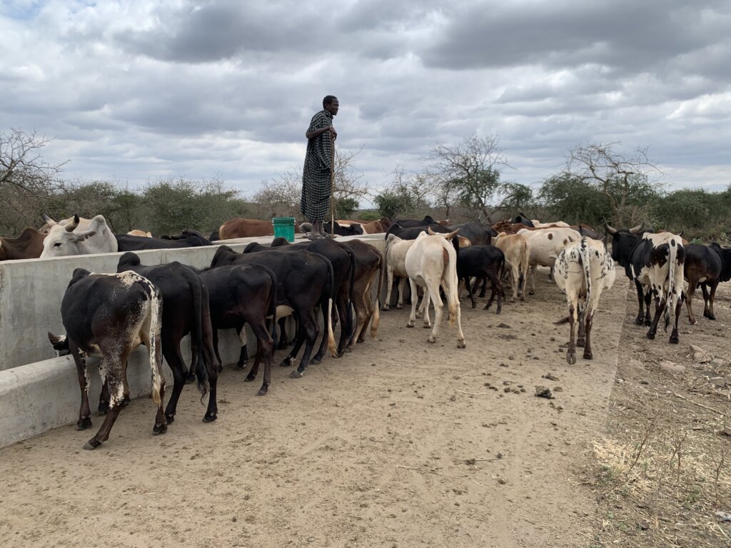 Upgrade a remote Maasai business hub in Tanzania