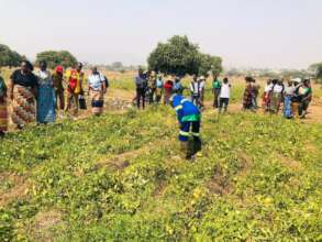 Field demonstration on climate-smart agriculture.