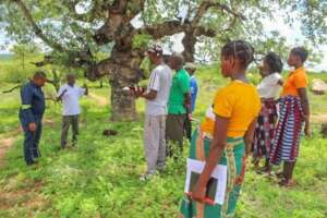 Youth facilitators in Changara, Tete