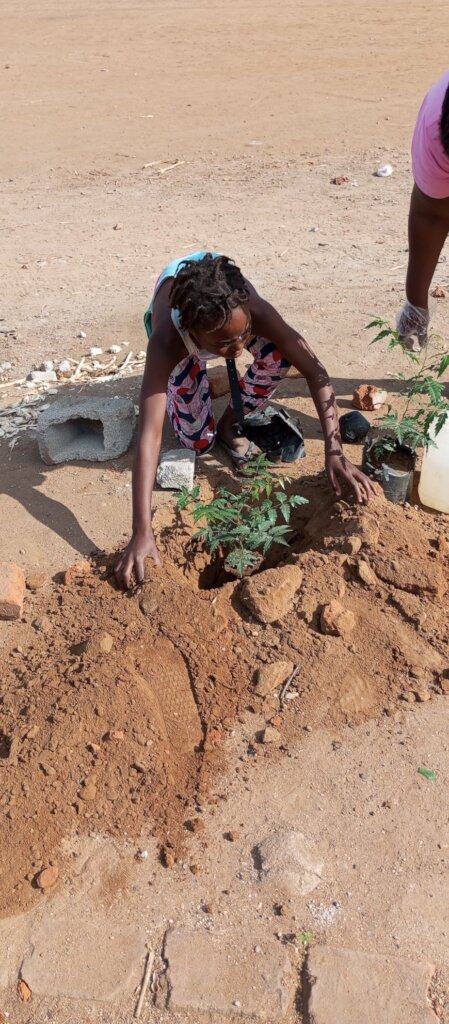 Youth-Led Climate Justice in Mozambique