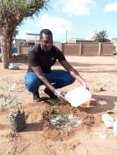 Tree watering for ecosystem care