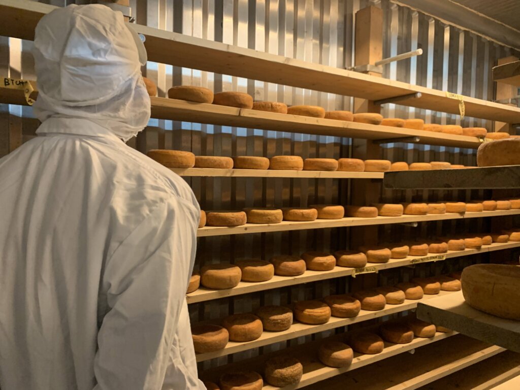 Economically empower more than 5,000 Maasai women