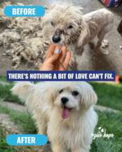 A heart-warming transformation