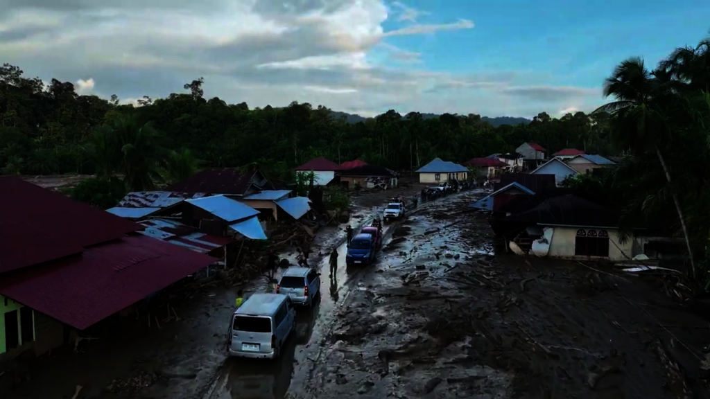 Sumatra Flood Emergency: Reforestation Project