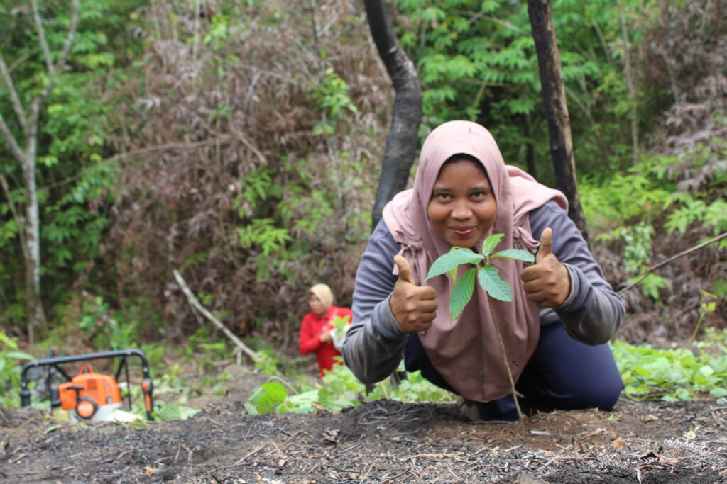 Sumatra Flood Emergency: Reforestation Project