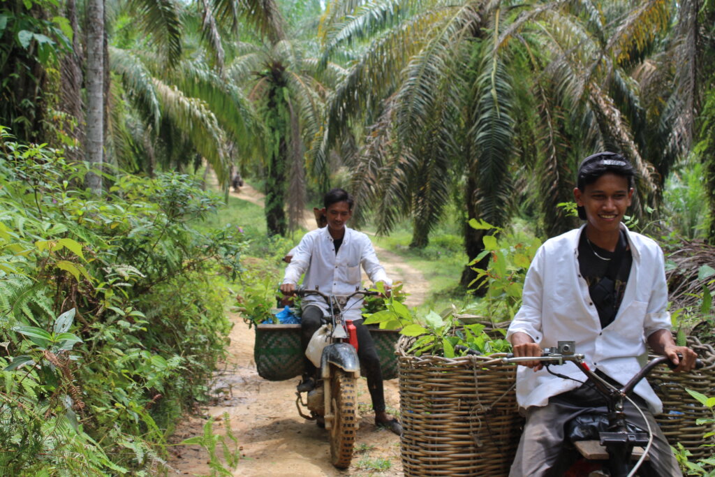 Sumatra Flood Emergency: Reforestation Project
