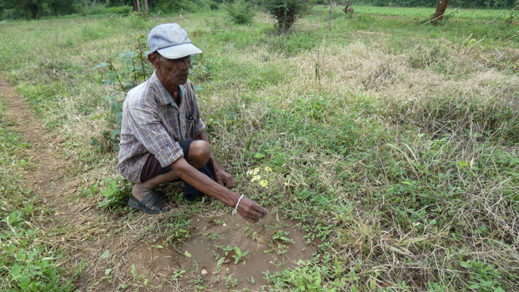 Flood Recovery Sri Lanka: Relief for farmers
