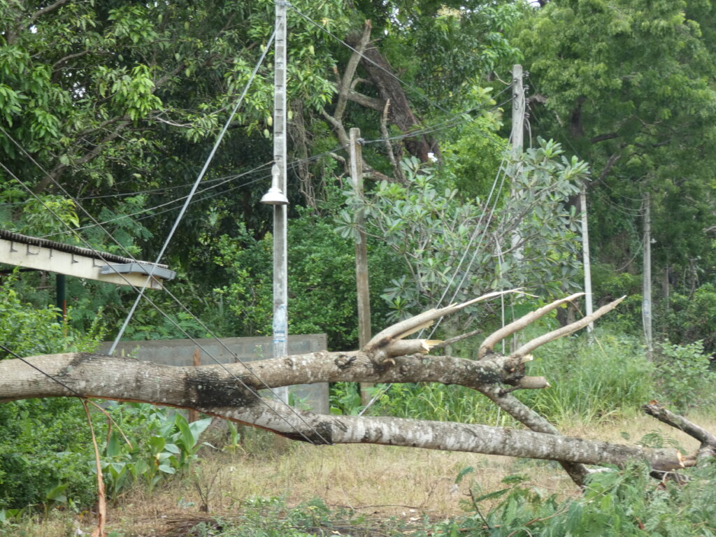 Flood Recovery Sri Lanka: Relief for farmers