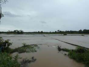 Flooded farmlands