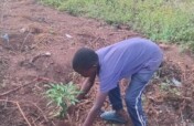Children for a Greener Uganda