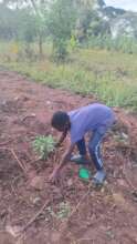 Children for a Greener Uganda