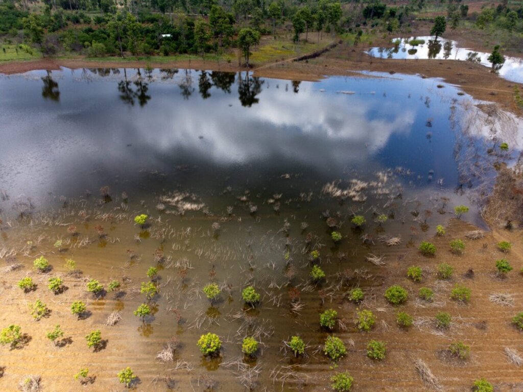 Internews: Asia Flood Response