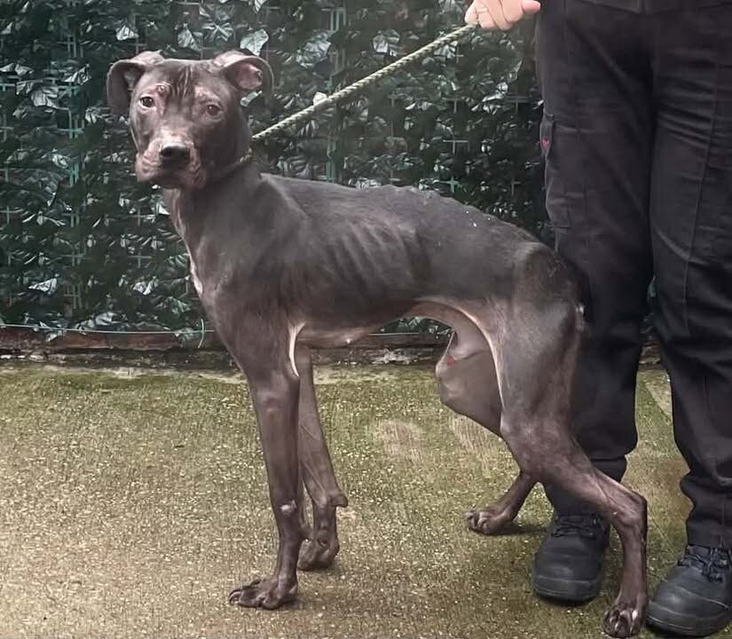 ***URGENT APPEAL FOR THIS POOR YOUNG BOY ***