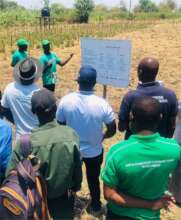 Seedling planting resilience lab