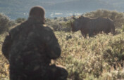 Rhinoplasty For Rhinos
