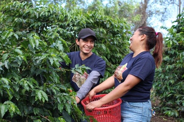 Uplifting Young Coffee Producers in Guatemala