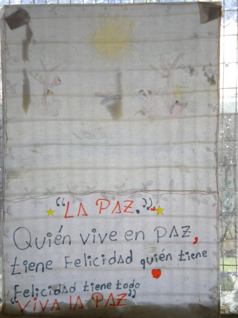 Organic Urban Agriculture in Ecuador - UVA/NCSU